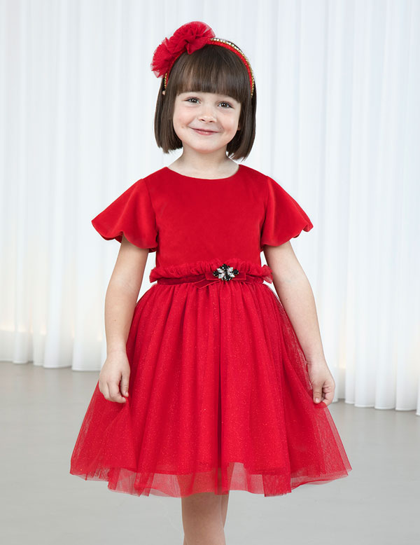 Velvet Dress with Tulle