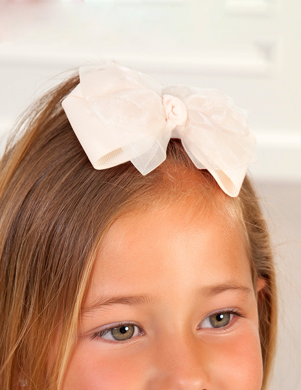 Pinza doble lazada organza