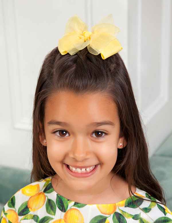 Pinza doble lazada organza