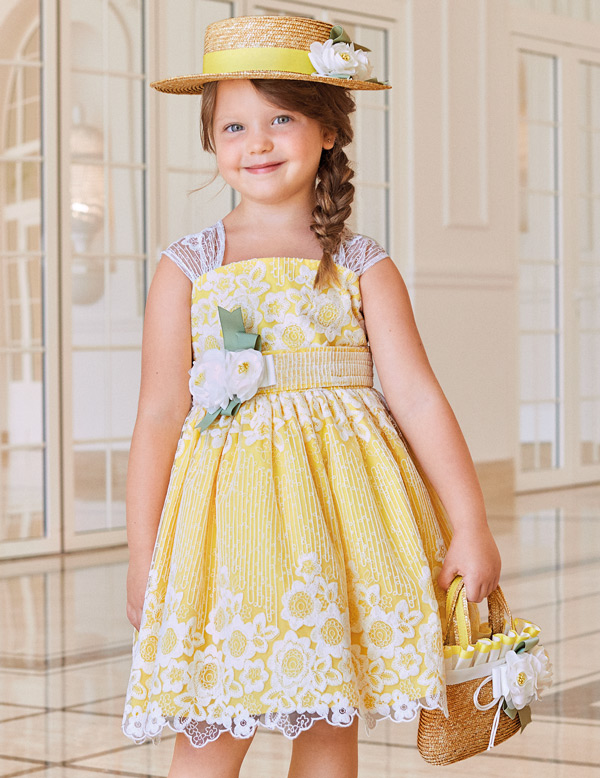 Vestido organza con bordado